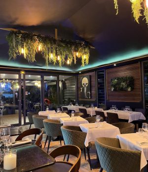 486667257_122104786568818515_2629267556453645252_n